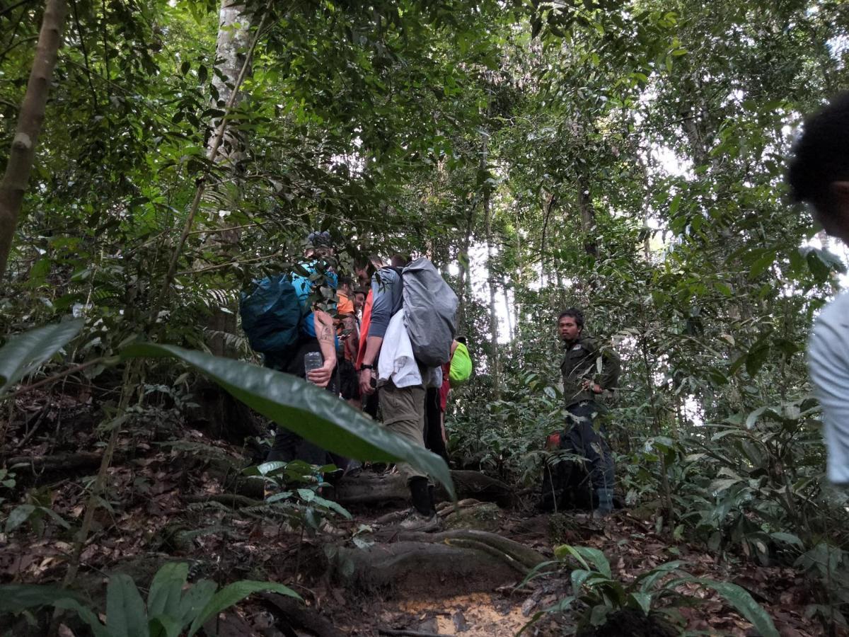 Asim Paris Guesthouse & Jungle Trekking Bukit Lawang Zewnętrze zdjęcie