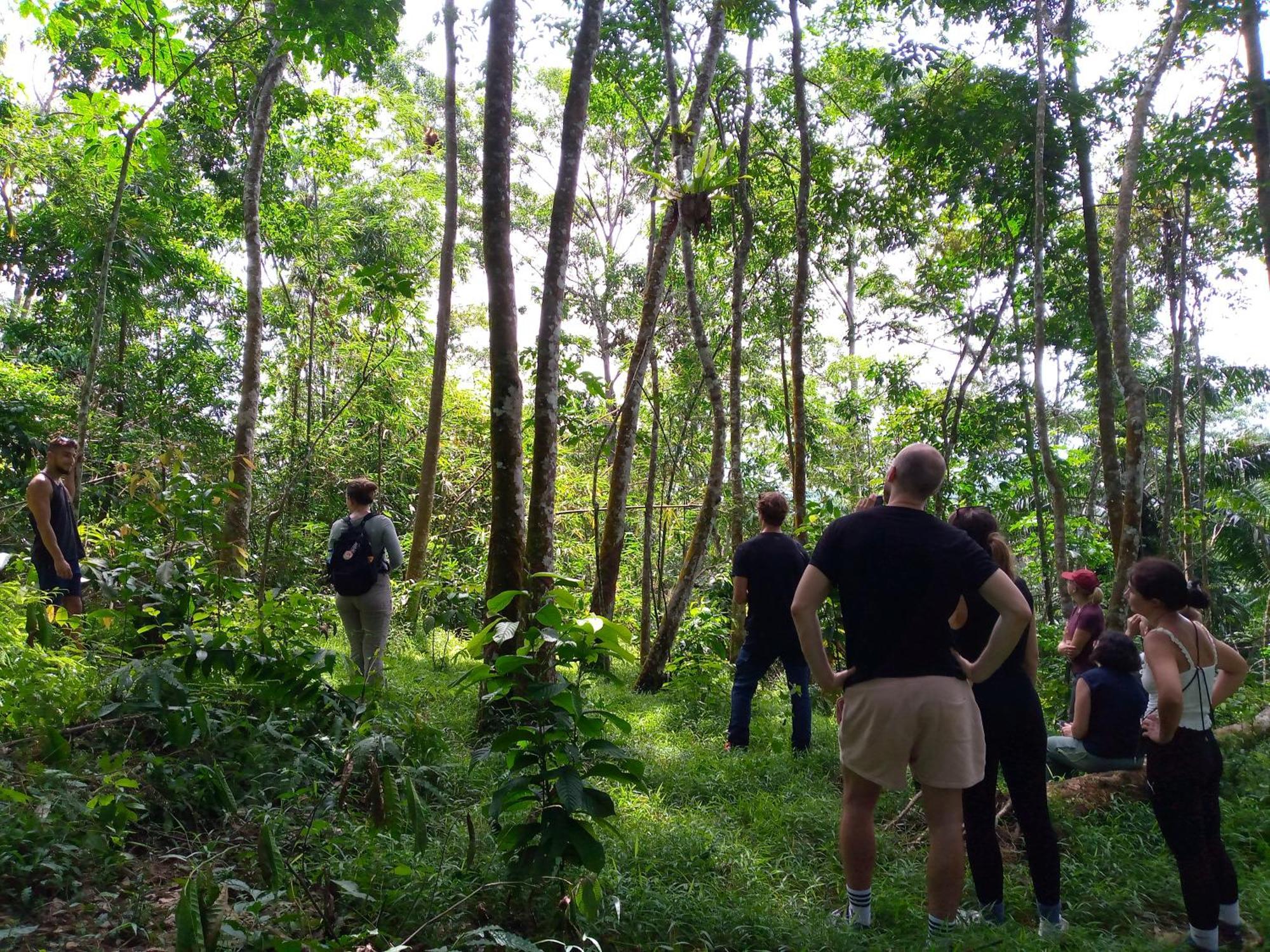 Asim Paris Guesthouse & Jungle Trekking Bukit Lawang Zewnętrze zdjęcie