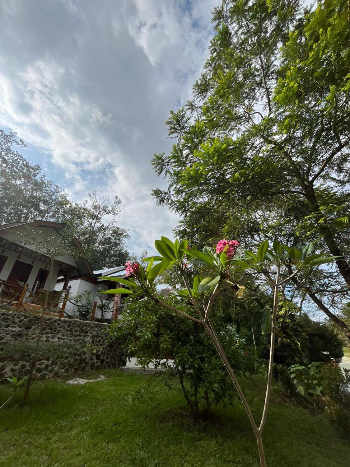 Asim Paris Guesthouse & Jungle Trekking Bukit Lawang Zewnętrze zdjęcie