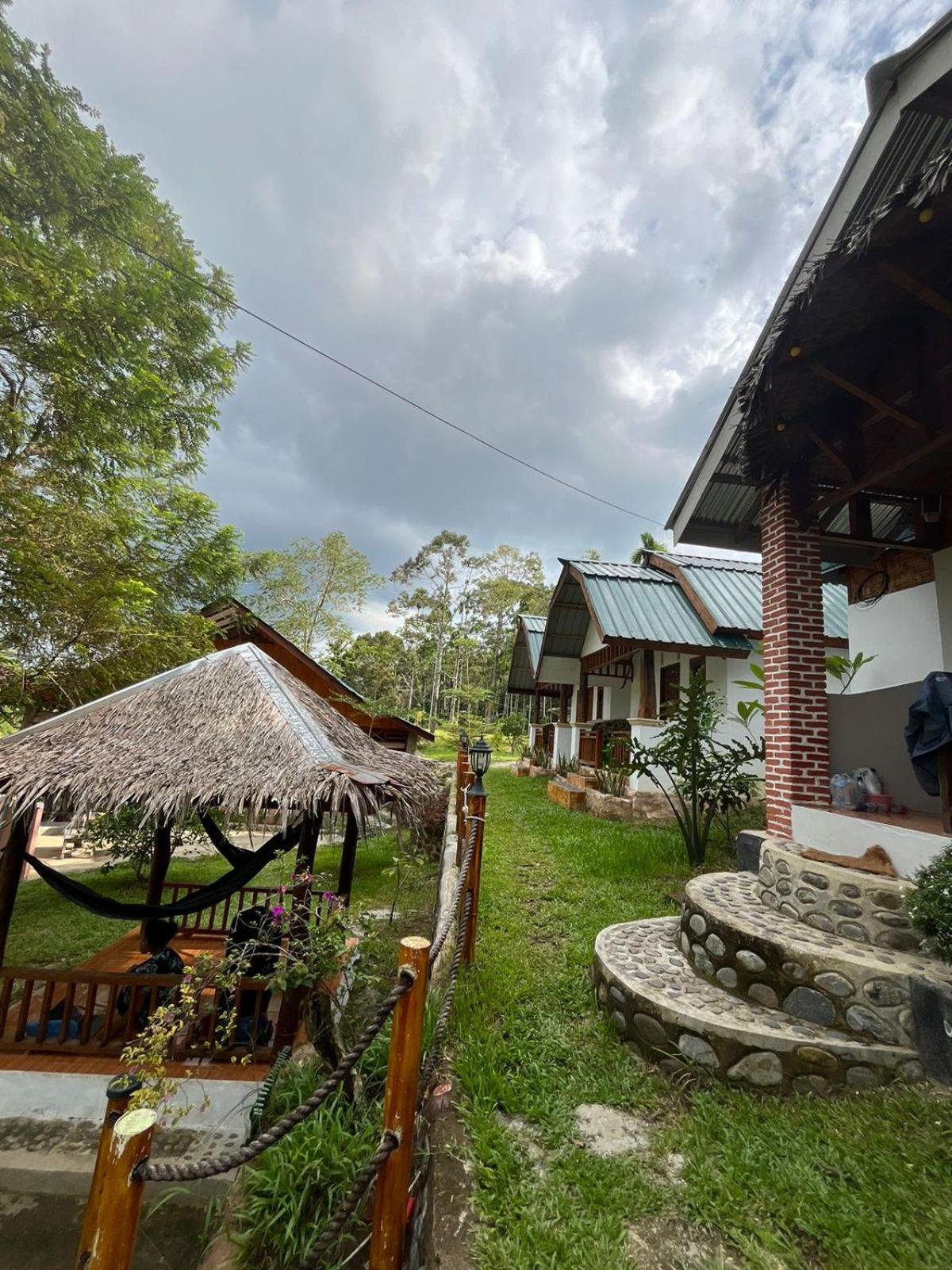 Asim Paris Guesthouse & Jungle Trekking Bukit Lawang Zewnętrze zdjęcie