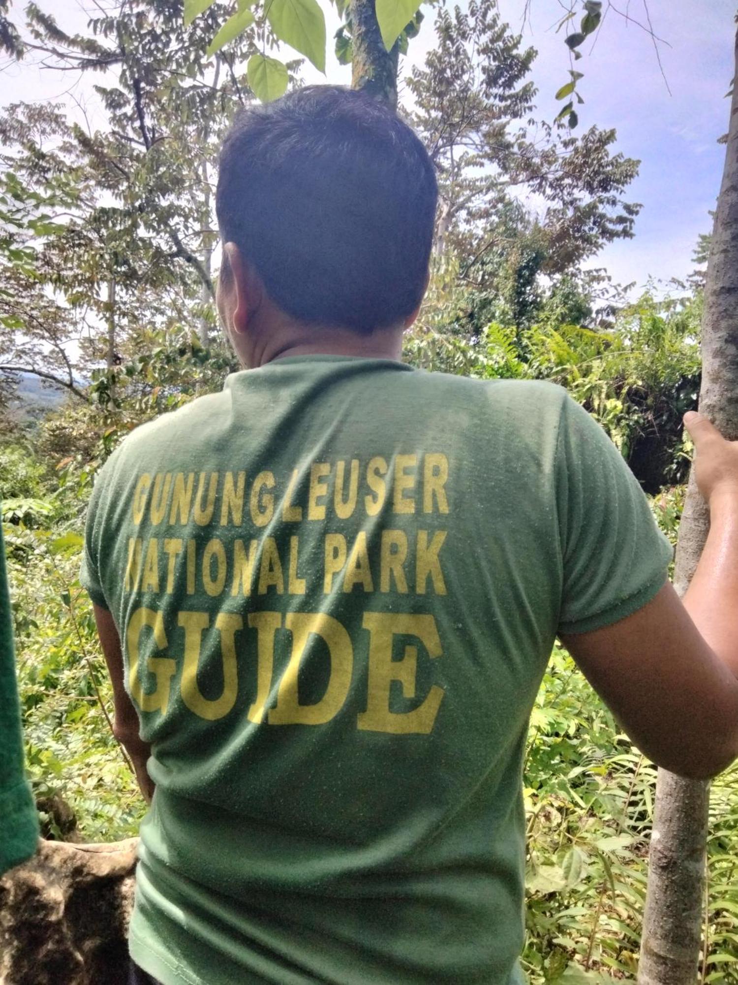 Asim Paris Guesthouse & Jungle Trekking Bukit Lawang Zewnętrze zdjęcie