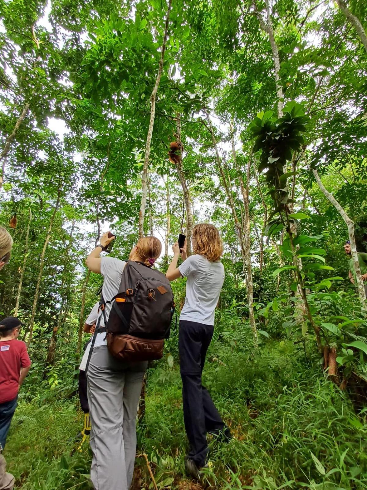 Asim Paris Guesthouse & Jungle Trekking Bukit Lawang Zewnętrze zdjęcie