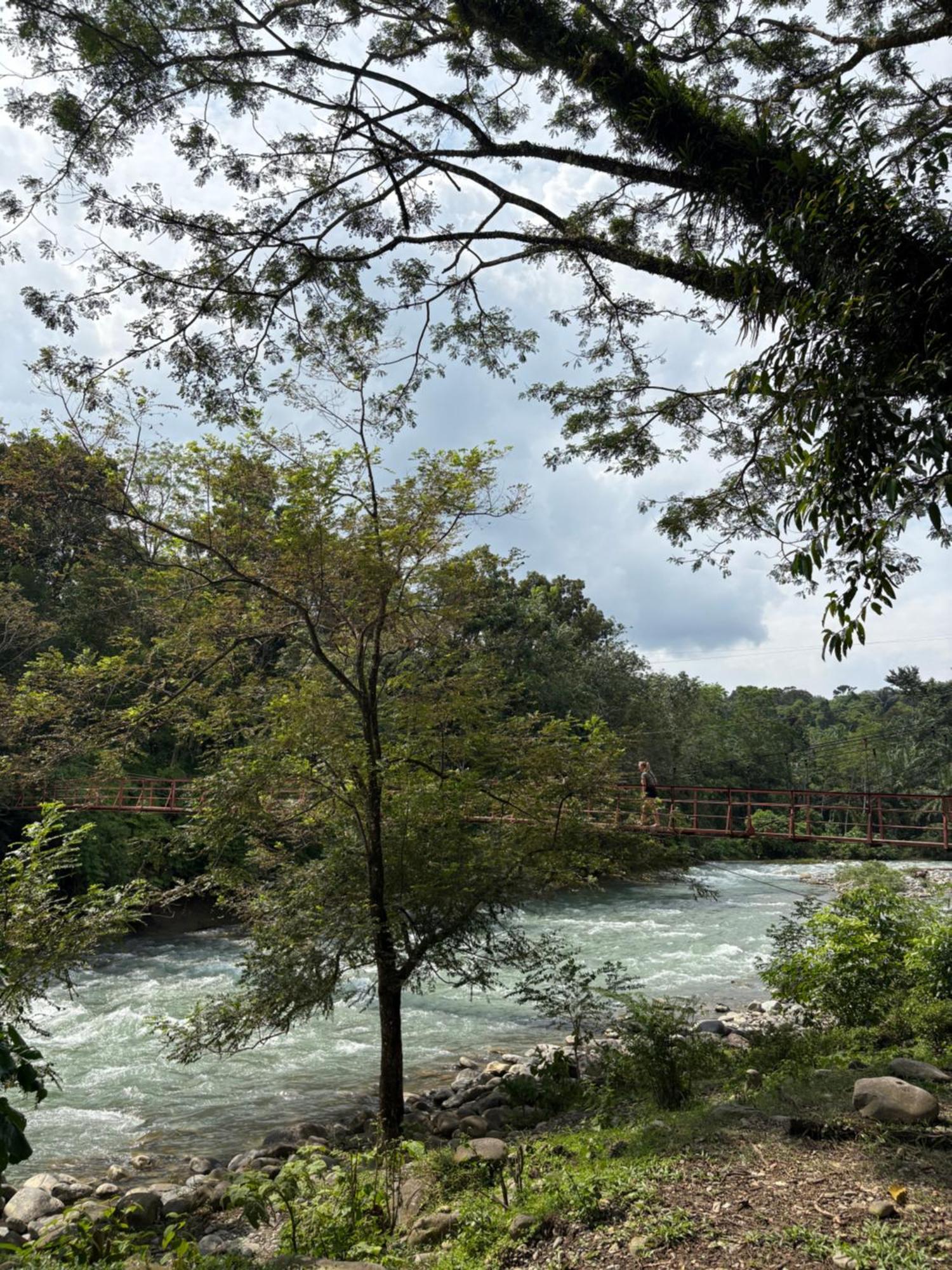 Asim Paris Guesthouse & Jungle Trekking Bukit Lawang Zewnętrze zdjęcie